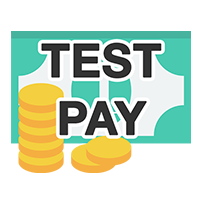 Testzahlung