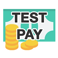 Testzahlung